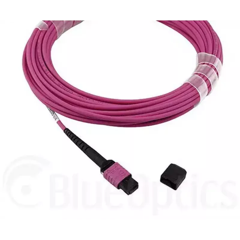 BlueOptics CBL-MPO12-OM4-3M-BO MPO Fibre Optic Cable 3m OM4 50µm