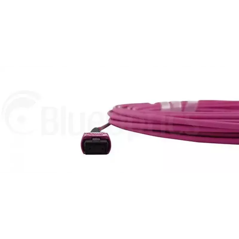 BlueOptics CBL-MPO12-OM4-3M-BO MPO Fibre Optic Cable 3m OM4 50µm