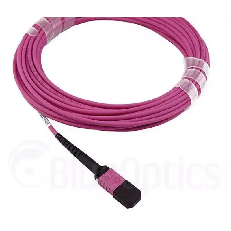 Fibre optic cable MPO BlueOptics CBL-MPO12-OM4-5M-BO 5 m OM4 50 µm