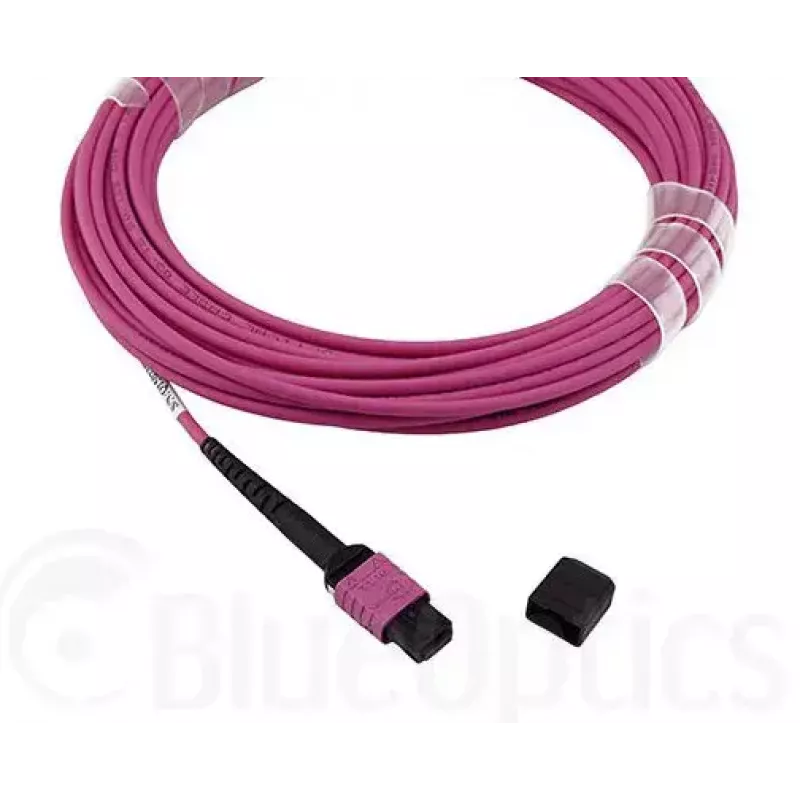 Fibre optic cable MPO BlueOptics CBL-MPO12-OM4-5M-BO 5 m OM4 50 µm