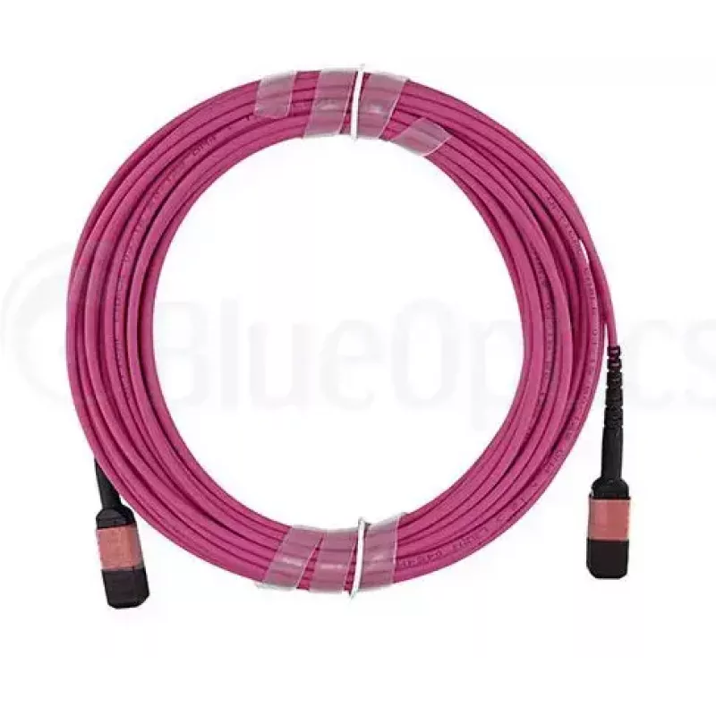 Fibre optic cable MPO BlueOptics CBL-MPO12-OM4-5M-BO 5 m OM4 50 µm