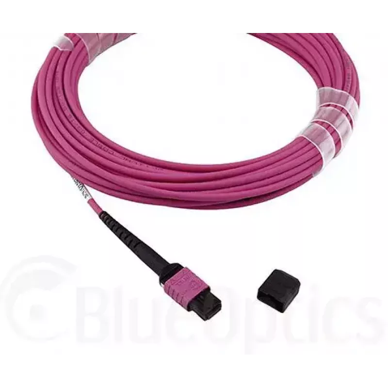 BlueOptics CBL-MPO12-OM4-7M-BO InfiniBand fibre optic cable 7.5 m OM4
