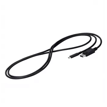 EIZO CP200-BK DisplayPort cable 2 m USB Type-C Black