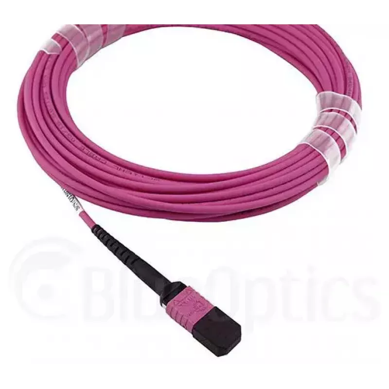 BlueOptics HH5CP InfiniBand/fibre optic cable 3 m MPO 4x LC