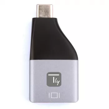 Techly IADAP USBC-DP4K USB graphics adapter 3840 x 2160 pixels Black, Silver