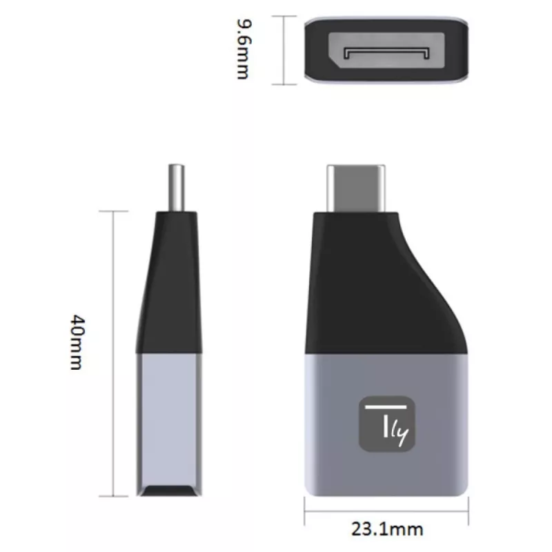 Techly IADAP USBC-DP4K USB graphics adapter 3840 x 2160 pixels Black, Silver