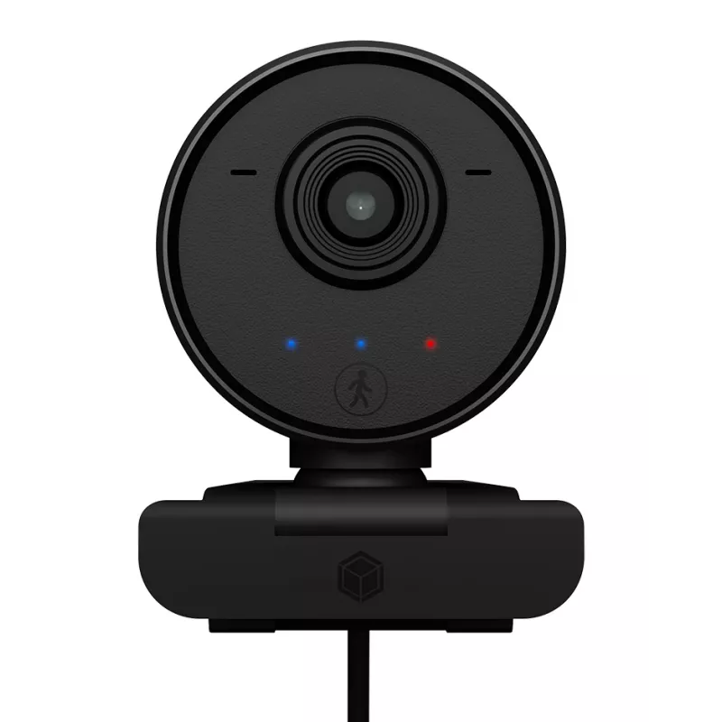 ICY BOX IB-CAM502-HD webcam 1920 x 1080 pixels Black