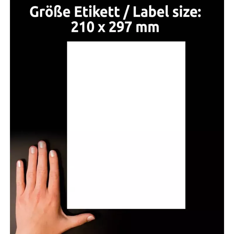 Self-adhesive label Avery L4775-20 Rounded rectangle