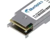 BlueOptics QSFP56-200G-SR-DE-BO network transceiver module Fiber optic MTP/MPO