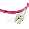 BlueOptics SFP3232FU10MK InfiniBand fibre optic cable 10 m SC