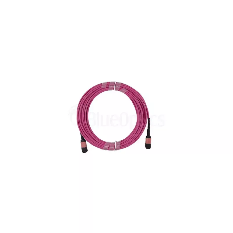 BlueOptics SFP5252FU10MKB InfiniBand fibre optic cable 10 m MPO