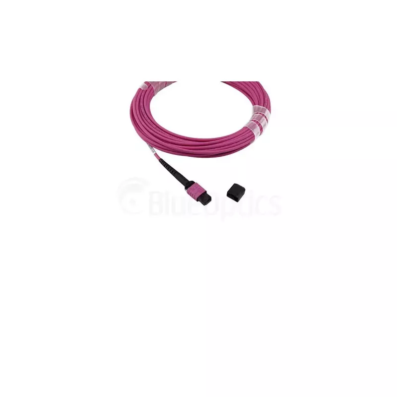 BlueOptics SFP5252FU2MKB InfiniBand fibre optic cable 2 m MPO OM4