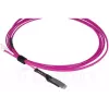 Fibre optic cable BlueOptics SFP9231FU2MK MDC LC OM4 2 m Magenta