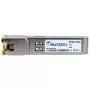 BlueOptics TN-SFP-10G-T-BO network transceiver module Copper 10000 Mbit/s SFP+