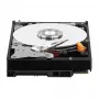 Internal Hard Drive Western Digital Purple 2 TB 5400 RPM 64 MB 3.5 inch