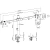 InLine Desk Mount for 2x LCD/LED Display up to 81cm 32 inch max. 9kg 23108E