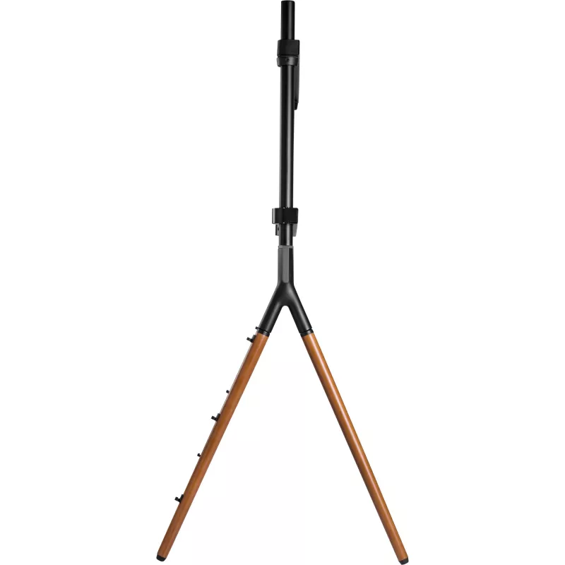 INLINE Woodstand Studio TV Stand for 49-70 inch Displays, Walnut Wood & Metal Frame, 40kg Capacity, VESA up to 600x400, Cable Management, Floor Stand