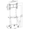 INLINE 23177A Mobile TV Cart for 37-80 inch LED TVs, 80 kg Load, Black