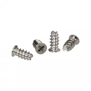 InLine Fan Screws 5.0x10.0mm silver 2.000 pcs. pack