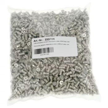 InLine Fan Screws 5.0x10.0mm silver 2.000 pcs. pack