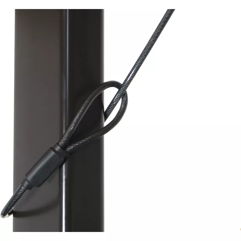 InLine iPad Security Case Stand with Security Lock and Key 2m