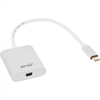 USB Display Converter InLine 64105S USB-C Male to Mini DisplayPort 4K 60Hz Silver