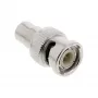 Video Adapter InLine 99321 RCA female to BNC male