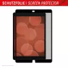 Displex TABLET PRIVACY SAFE removable 2-way privacy filter for iPad 10,2'' (7./8./9. Gen.)