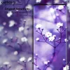 Tempered Glass Screen Protection KAPSOLO iPhone XR