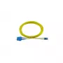 BlueOptics CAB-SMF-LC-SC-7.5-BO InfiniBand fibre optic cable 7.5 m 2x LC LC/APC