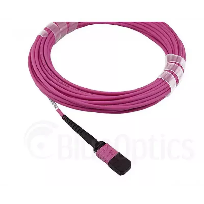 BlueOptics EMC CBL-MPO12-4LC-OM4-7M InfiniBand fibre optic cable 7.5 m