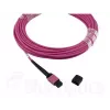 BlueOptics EMC CBL-MPO12-4LC-OM4-7M InfiniBand fibre optic cable 7.5 m