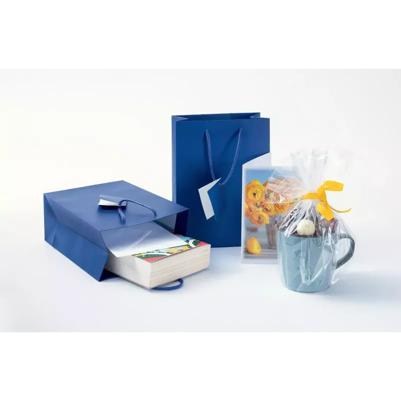 Gift wrap bag Sigel GT504 Blue Monochromatic 170x90x230 mm
