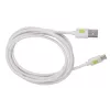 Techly ICOC MUSB20-CMAM20TW USB cable USB 2.0 2 m USB A USB C White