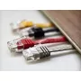 Networking Cable ShiverPeaks U/UTP Cat. 6 10m