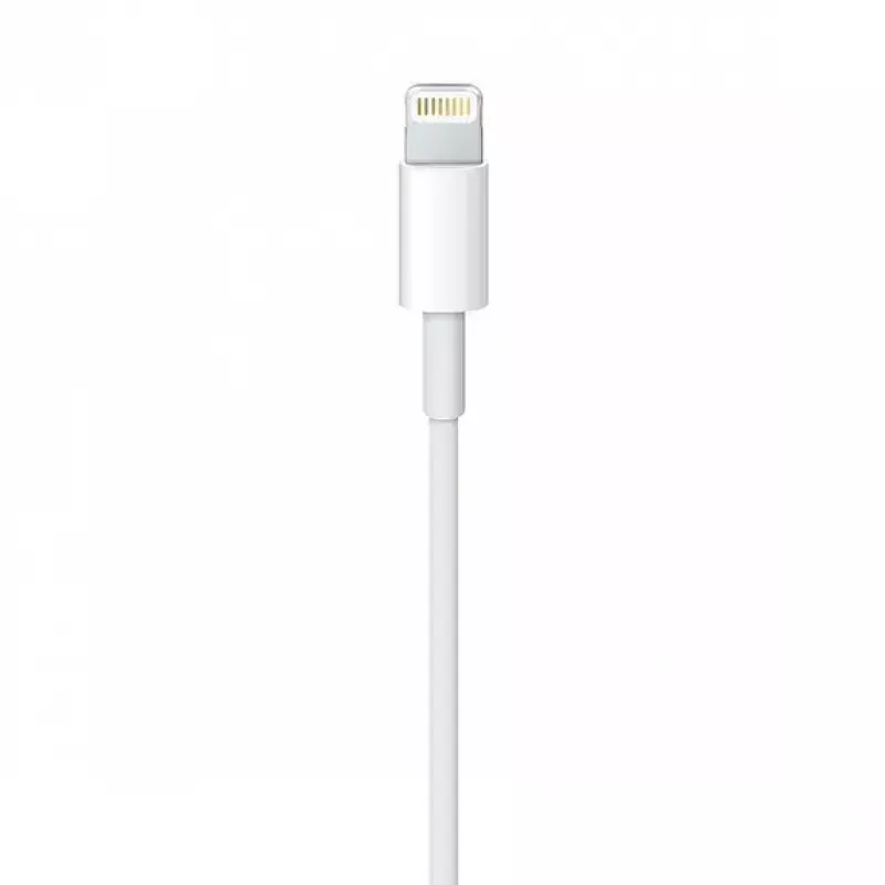 Cable Apple MQUE2ZM 1m White