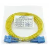 BlueOptics CAB-SMF-SC-SC-2-BO InfiniBand fibre optic cable 2 m SC SC G.657.A1