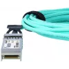 BlueOptics UACC-AOC-SFP10-15M-BO InfiniBand fibre optic cable SFP+ 15m Male/Male