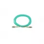 BlueOptics ASR9-BO InfiniBand fibre optic cable 10 m 2x LC LC/APC