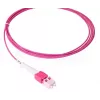 Fibre optic cable BlueOptics SFP8181FU0.5MK 0.5 m LC OM4