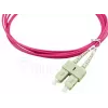 BlueOptics SFP3232FU2MK InfiniBand fibre optic cable 2 m 2x SC