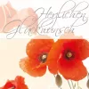 Greeting Card Sigel DS003