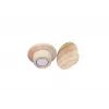 Wooden Magnet Legamaster 25mm 5pcs