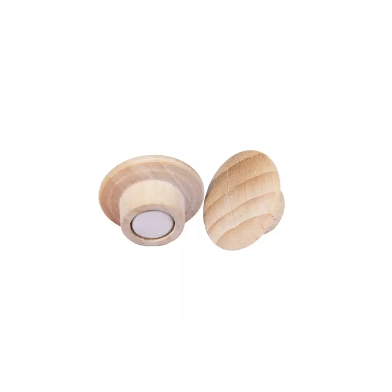 Wooden Magnet Legamaster 25mm 5pcs