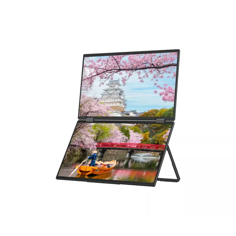JAPANNEXT JN-DMD-IPS156F computer monitor 39.6 cm (15.6 inch) 1920 x 1080 pixels Full HD LCD Black