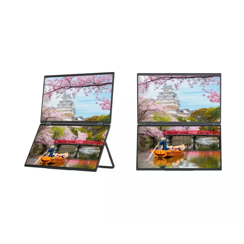 JAPANNEXT JN-DMD-IPS156F computer monitor 39.6 cm (15.6 inch) 1920 x 1080 pixels Full HD LCD Black