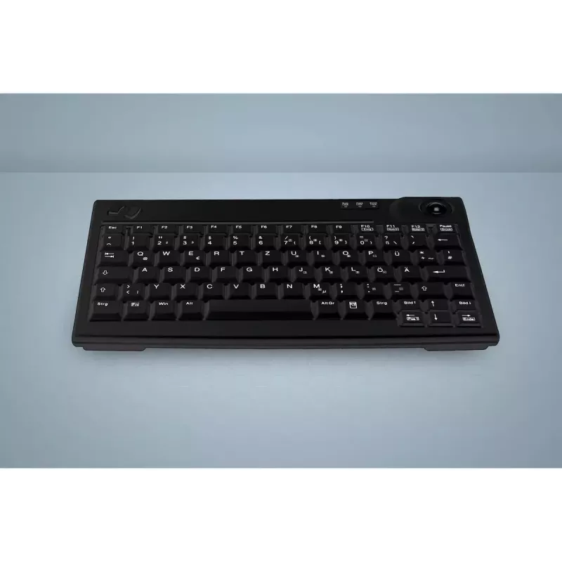 Active Key AK-440 Keyboard Office USB QWERTZ French Black Mechanical Tenkeyless