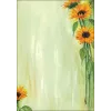 Art Paper Sheets Sigel DP694 25 Sheets