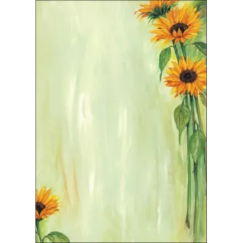 Art Paper Sheets Sigel DP694 25 Sheets