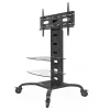 Techly ICA-TR8 signage display mount 177.8 cm (70 inch) Black